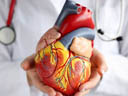 Cardiologists