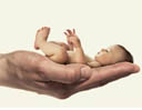 Fertility Hospitals